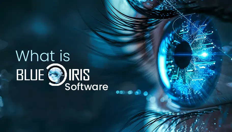 what-is-blue-iris-software-min